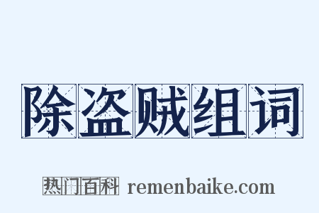 除盗贼组词是什么意思的图片